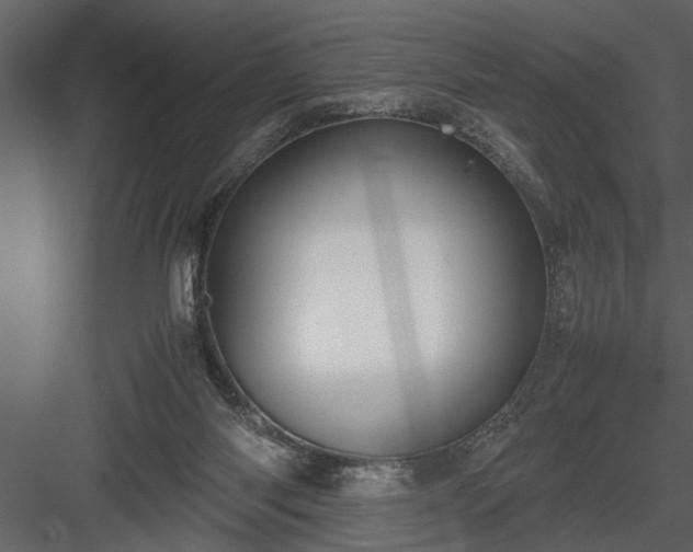 X0000084000118200702232148