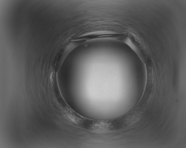 X0000084000125200702232148