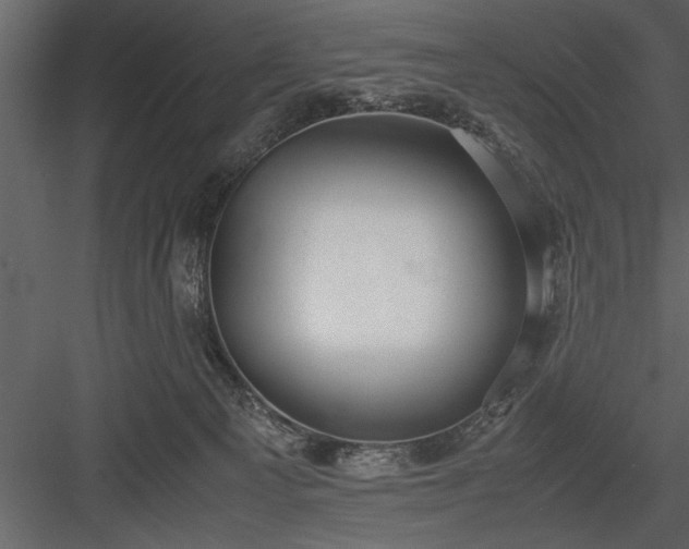 X0000084000129200702232148