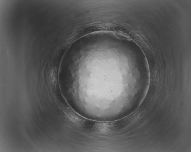 X0000084000131200702232148