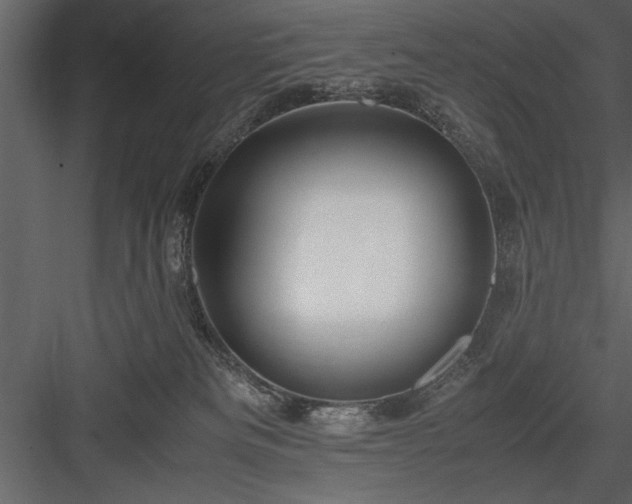 X0000084000133200702232148