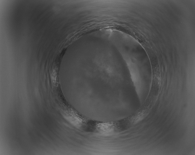 X0000084000139200702232147
