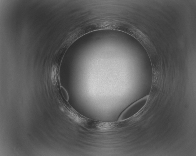 X0000084000142200702232147
