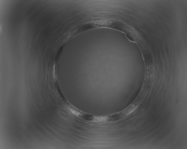 X0000084000143200702232147