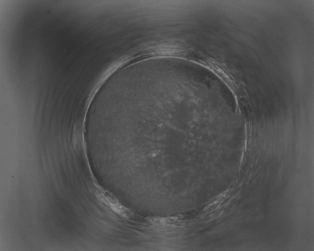 X0000084000147200702232147