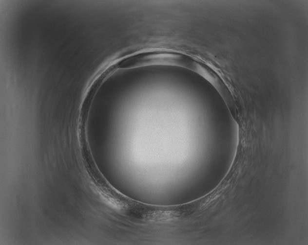X0000084000152200702232147