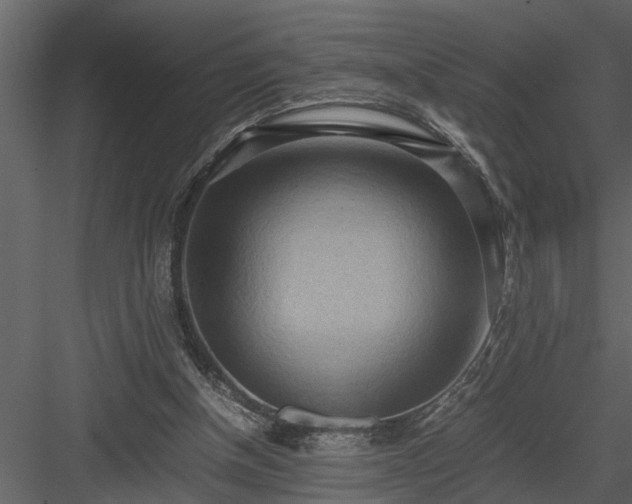 X0000084000154200702232147