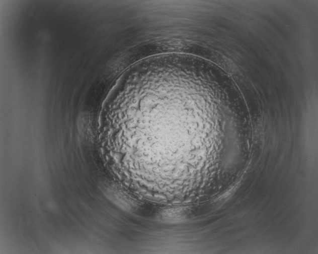 X0000084000178200702232147