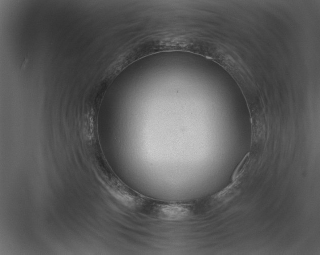 X0000084000183200702232147