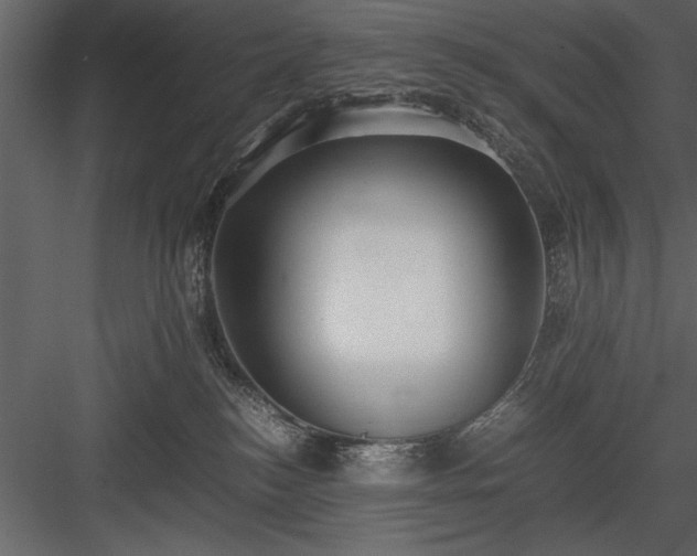 X0000084000184200702232147