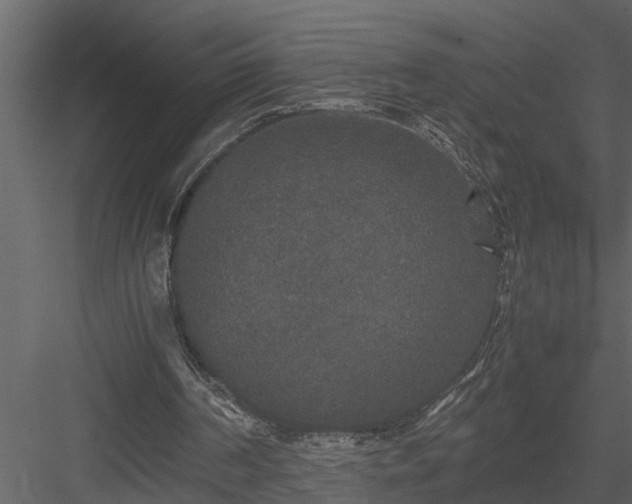 X0000084000194200702232147