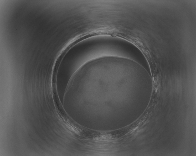 X0000084000196200702232147