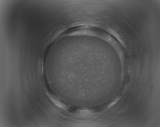 X0000084000205200702232146