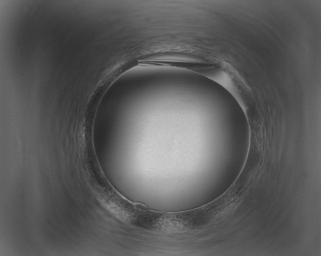 X0000084000207200702232146