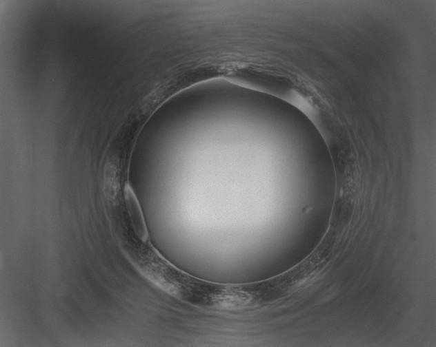 X0000084000215200702232146