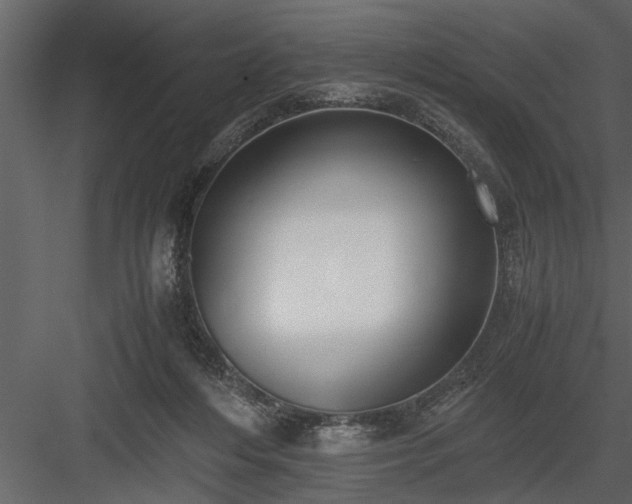 X0000084000216200702232146