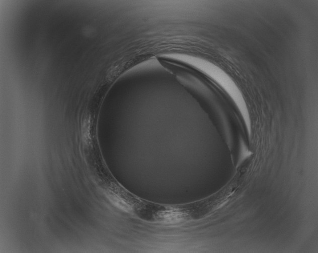X0000084000219200702232146