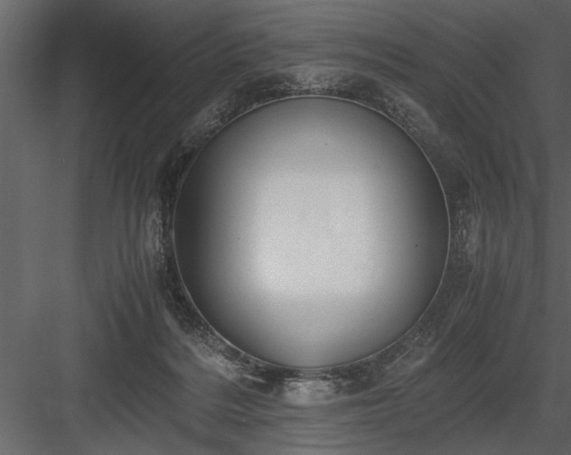 X0000084000220200702232146