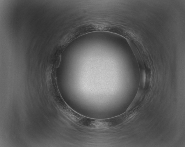 X0000084000221200702232146