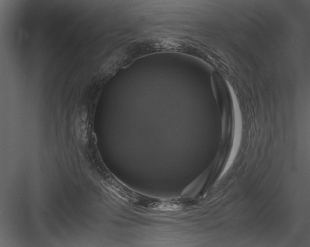 X0000084000223200702232146