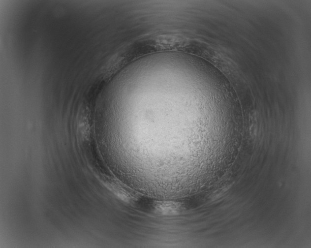 X0000084000226200702232146