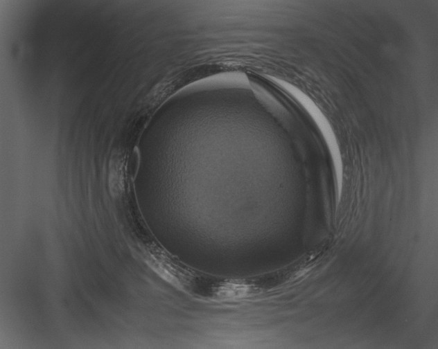 X0000084000227200702232146