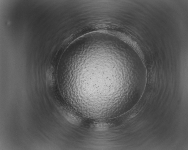 X0000084000228200702232146