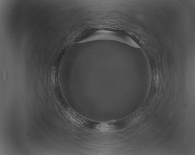 X0000084000231200702232146