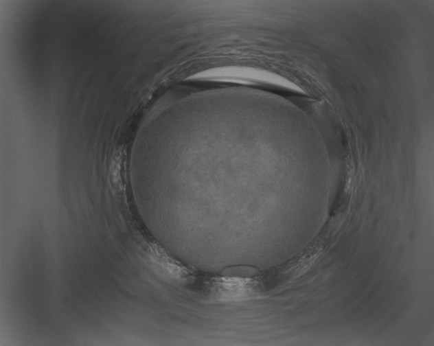X0000084000233200702232146