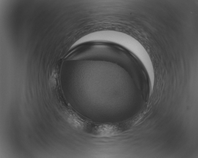 X0000084000235200702232146