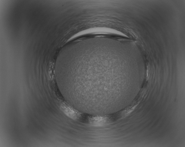 X0000084000237200702232146