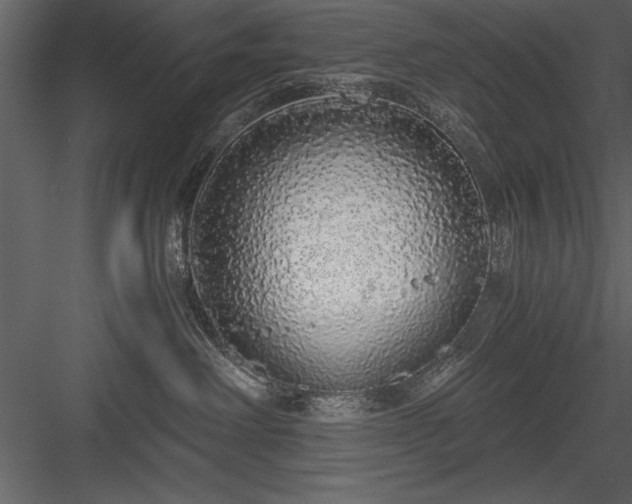 X0000084000238200702232146