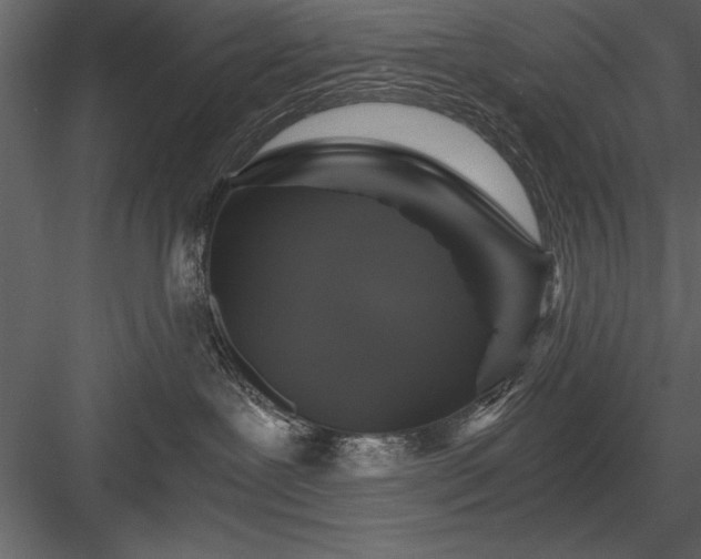 X0000084000239200702232146