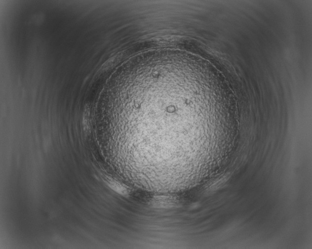 X0000084000240200702232146
