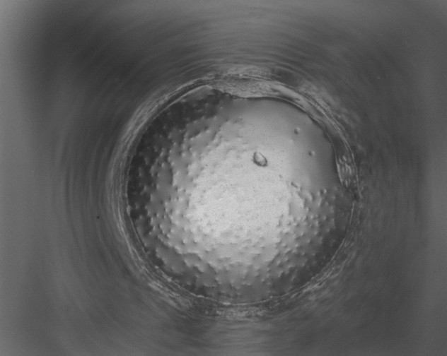 X0000084000241200702232145