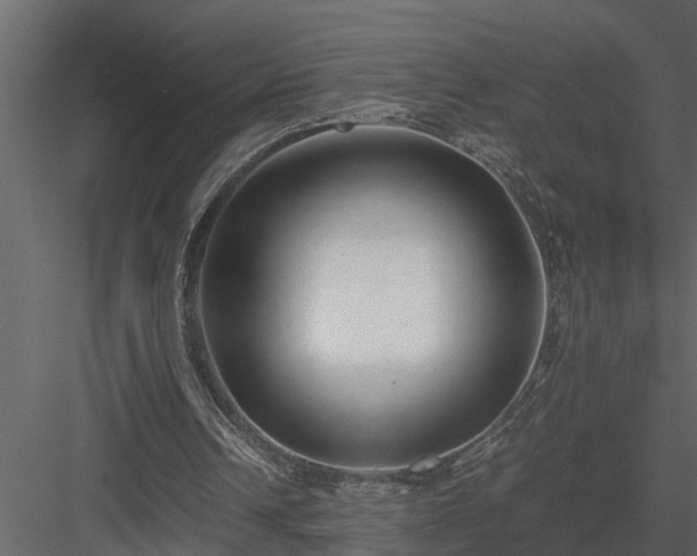 X0000084000242200702232145