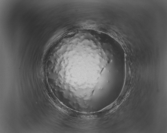 X0000084000245200702232145