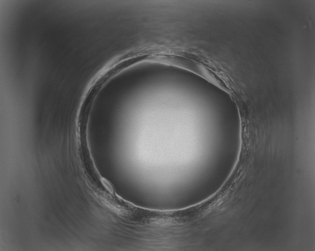 X0000084000246200702232145