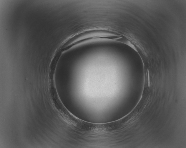 X0000084000252200702232145