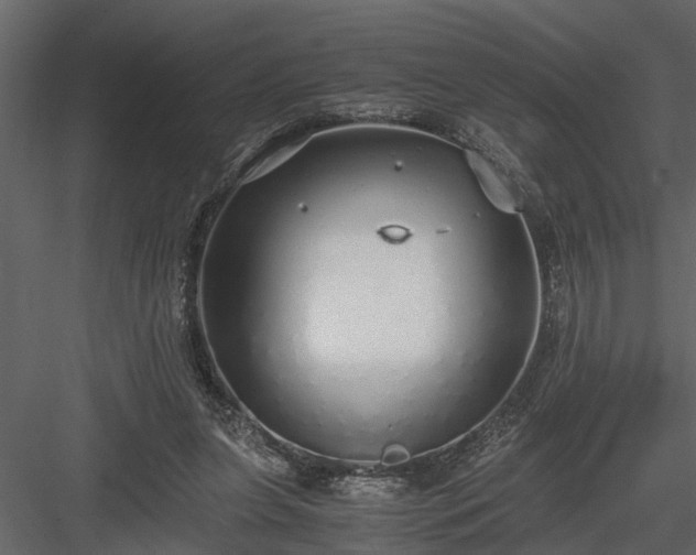 X0000084000255200702232145