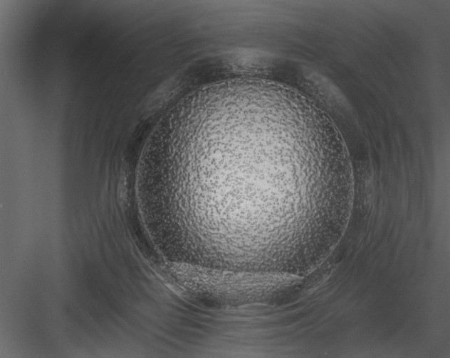 X0000084000266200702232145