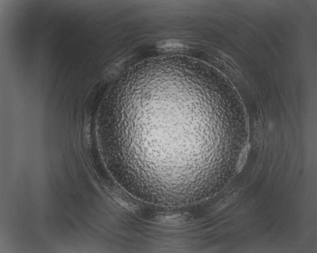 X0000084000267200702232145