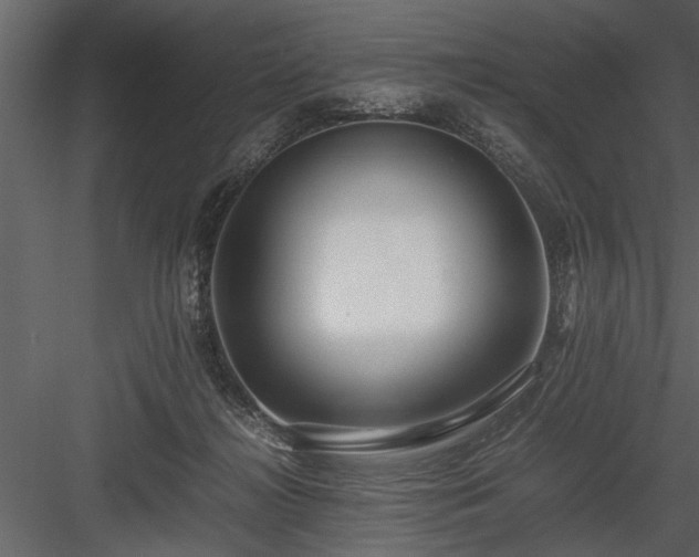 X0000084000268200702232145
