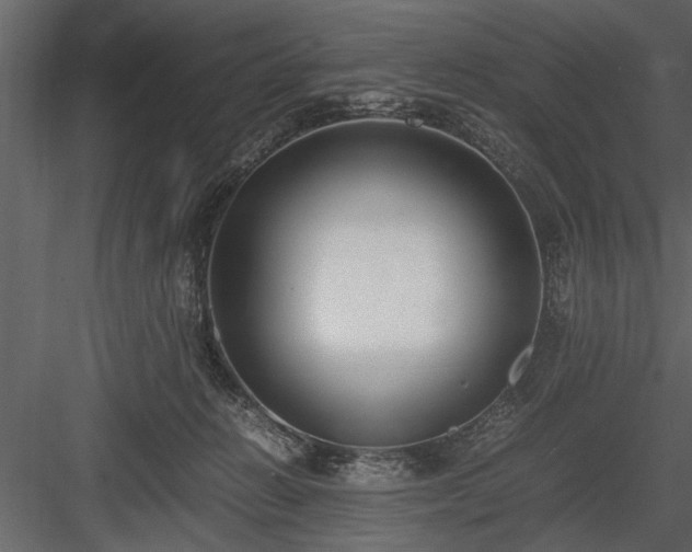 X0000084000270200702232145