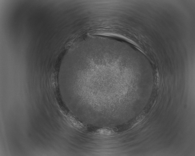 X0000084000272200702232145