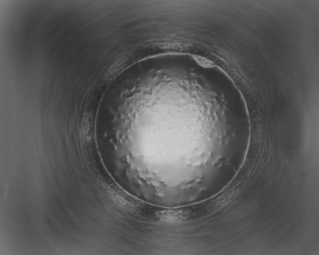 X0000084000273200702232145