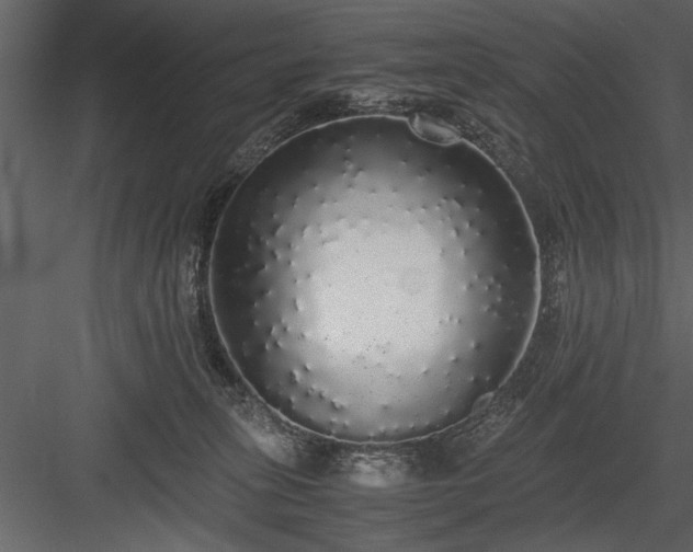 X0000084000275200702232146
