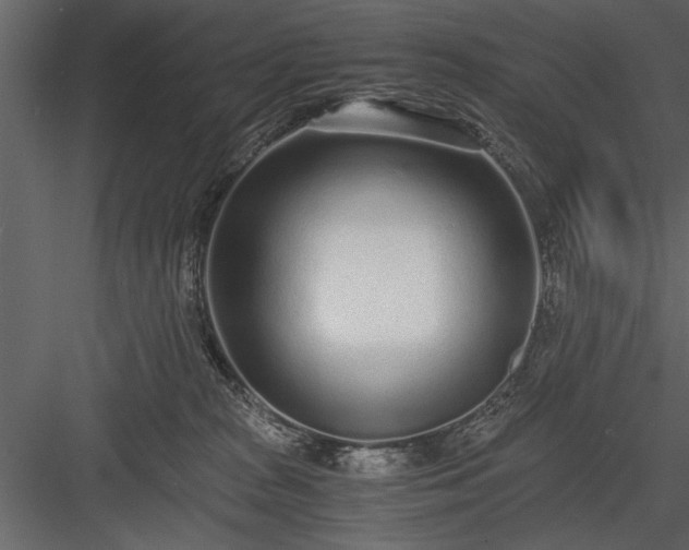 X0000084000277200702232146