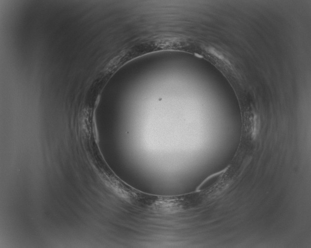 X0000084000280200702232146