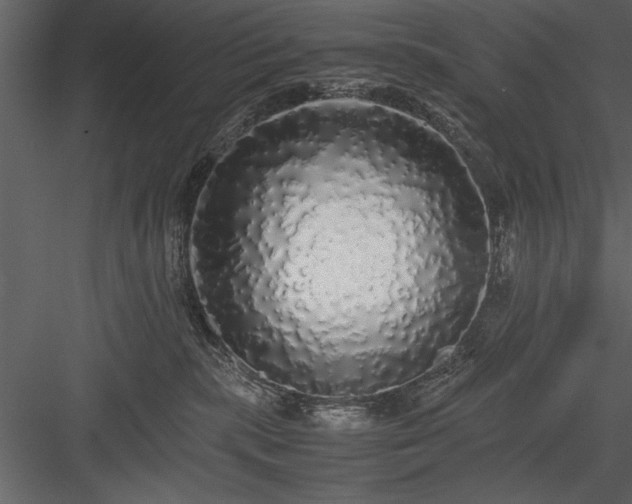 X0000084000283200702232146